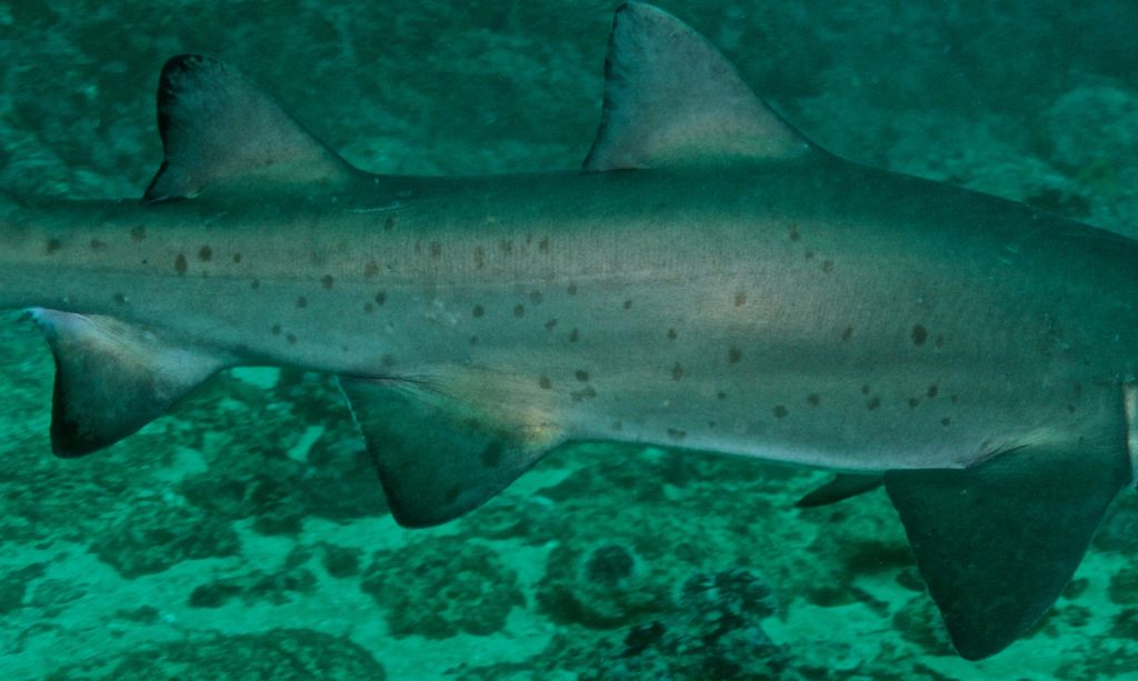 8955d942-dbcc-4c03-a6e5-75e2165f67e5