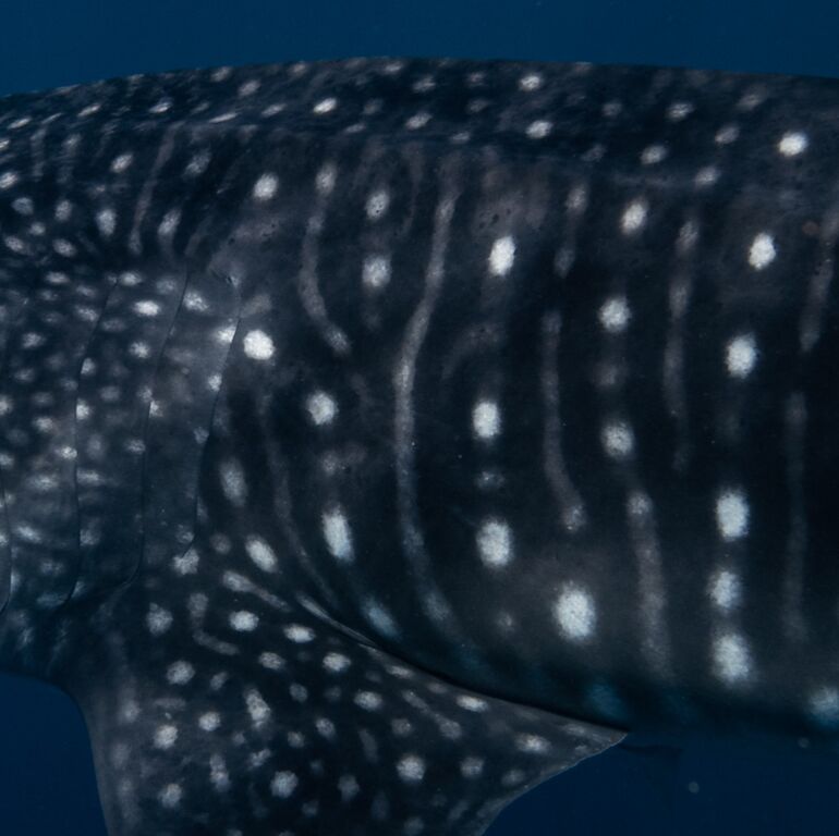 e3328bc4-c89e-4dd3-a64f-7fd6e2d760a1