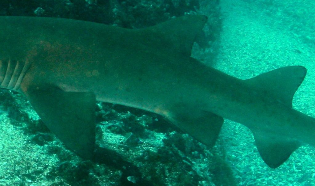 535c395d-16ad-42ed-880c-a39be0805346