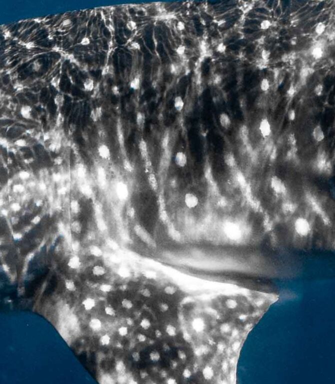 a571a9d8-c073-464d-b67f-0d1ba64d2cd6