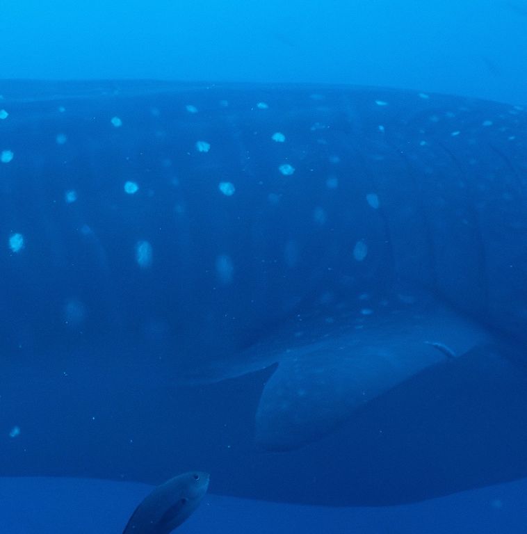 bcdb511c-3807-41f9-98a9-b5e035b7e9d3