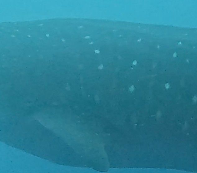 bcdb511c-3807-41f9-98a9-b5e035b7e9d3