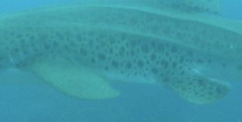 411dba64-e6ef-40b2-abfd-98569705f102