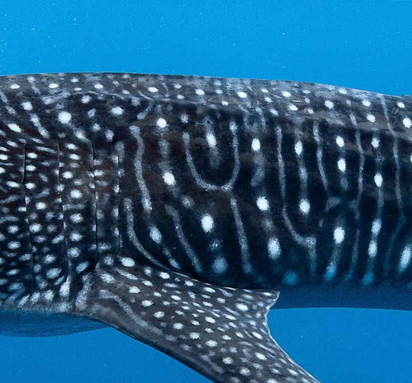 3da6b70d-b913-43ff-b83c-720cca9fafe2