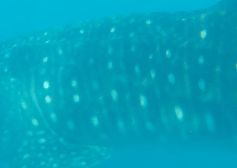 3217982d-c99c-4b0b-a0f7-0c2a11a7bddd