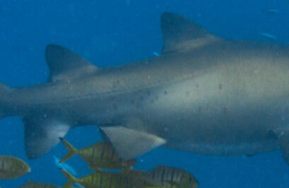 d42288ac-da0b-4c39-b28e-e9c3a0979e21