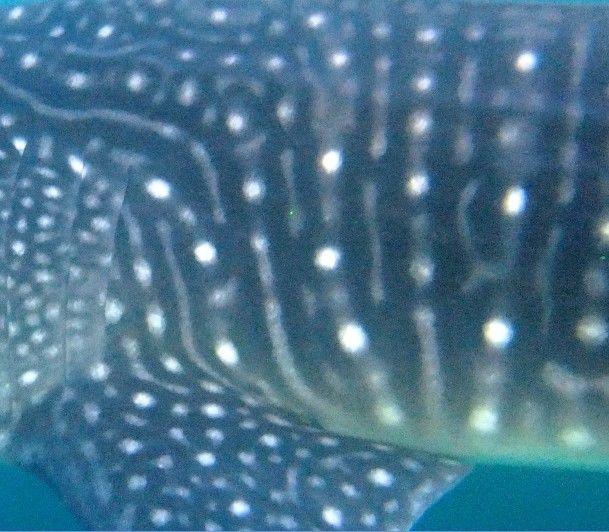 835fa521-d0b1-4c3a-9b52-03b61736b542