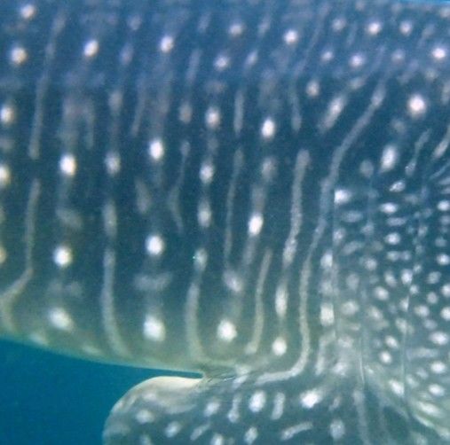 835fa521-d0b1-4c3a-9b52-03b61736b542