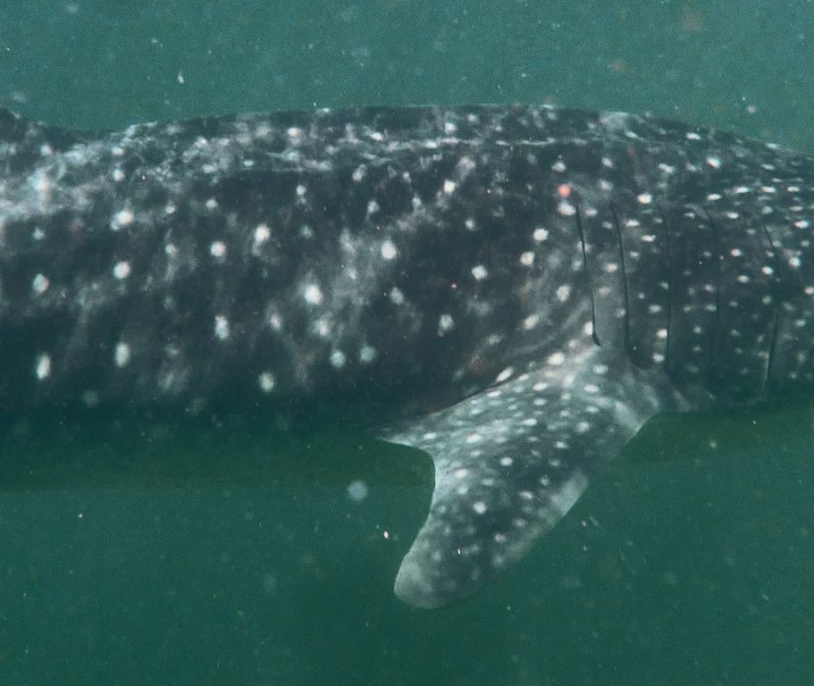 9f4b0141-ff67-46c3-80c8-17c482f90e58