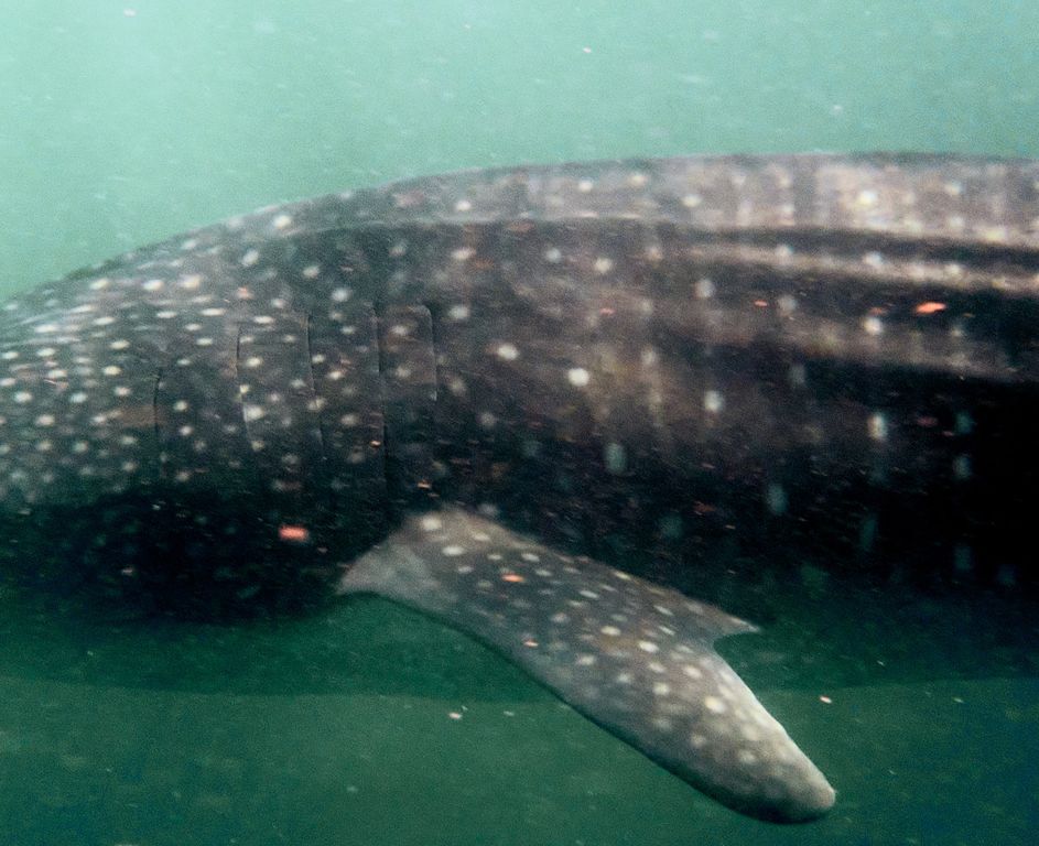 9f4b0141-ff67-46c3-80c8-17c482f90e58