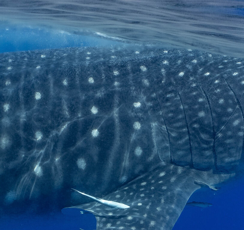 19466970-6501-4214-8819-1a2af2b4bfa2