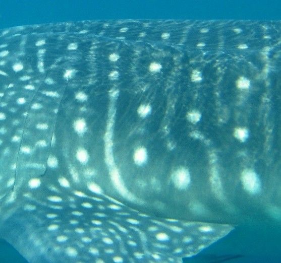 bfc8ec09-27ad-416b-bfa8-92ad711ee172