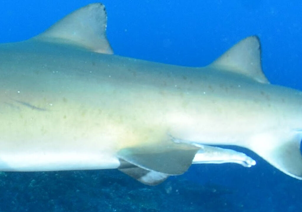 8cc6f721-0e35-458f-b24c-1124da6de703