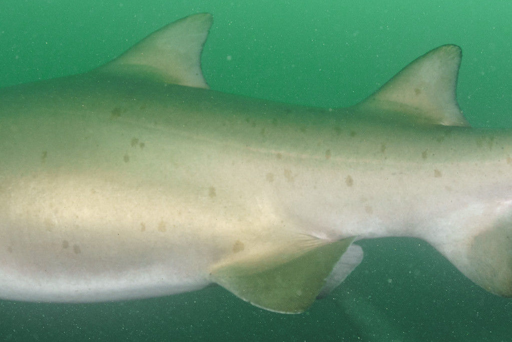 7291c306-98ed-4772-a9c8-38baf7110934