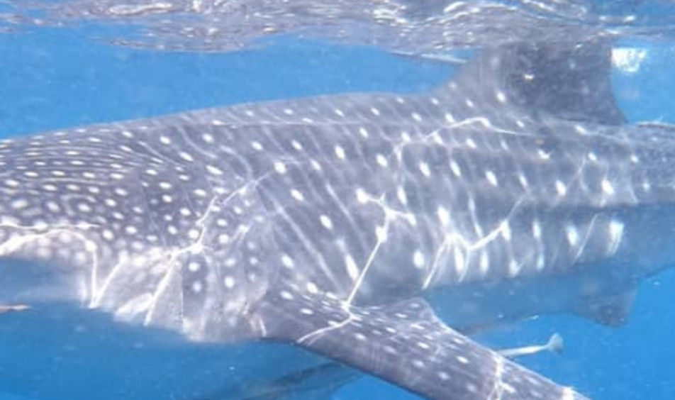 2d9cb719-71bb-403c-838d-03a7abb1bbc2