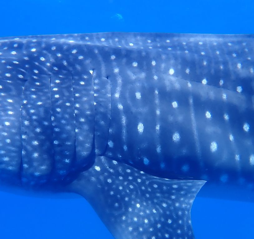 208cac94-5cc5-4167-aeec-0a90a1efa116