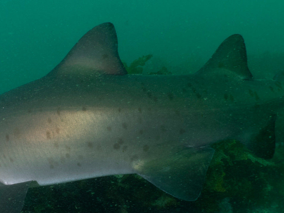 fe091272-f256-4d72-b9dd-54a933a63e78