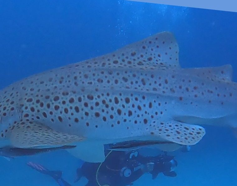 d5244b1b-6912-46a7-a00a-5fa78ccb7639