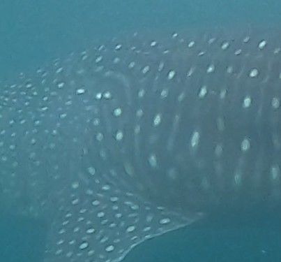 7ceac036-67fc-4154-bf1b-fba0fdf91d60