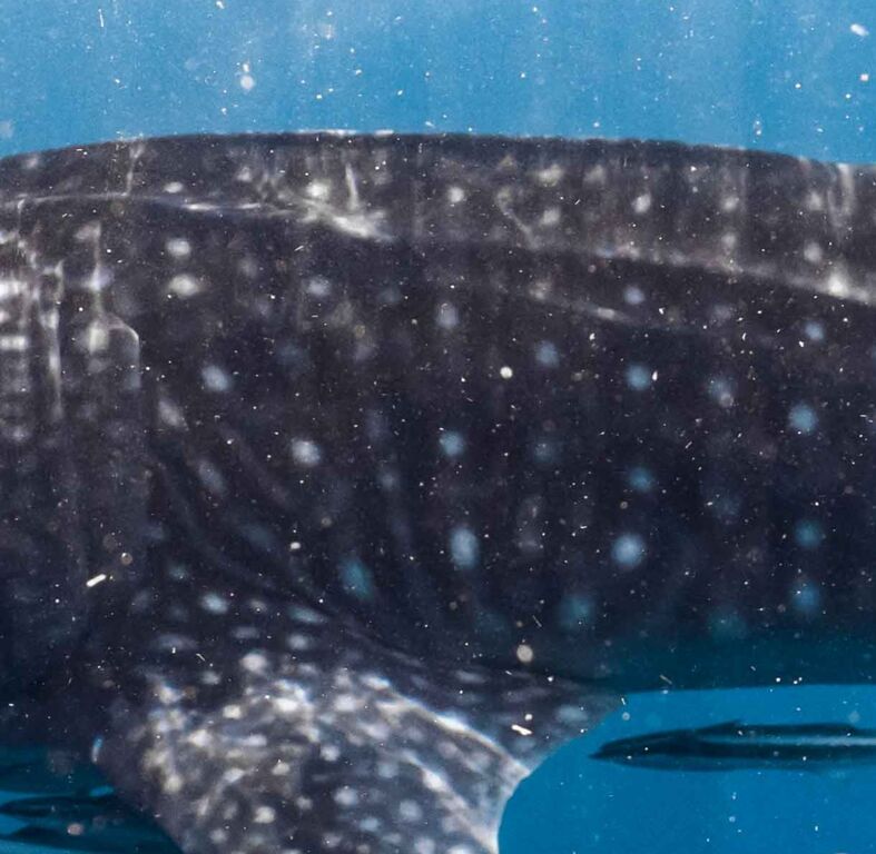 de489117-4cf1-4e28-a28f-46877e805e2c