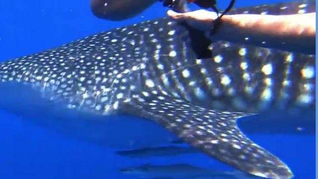 a8f931d8-268b-49c5-8526-d272f5ccb994