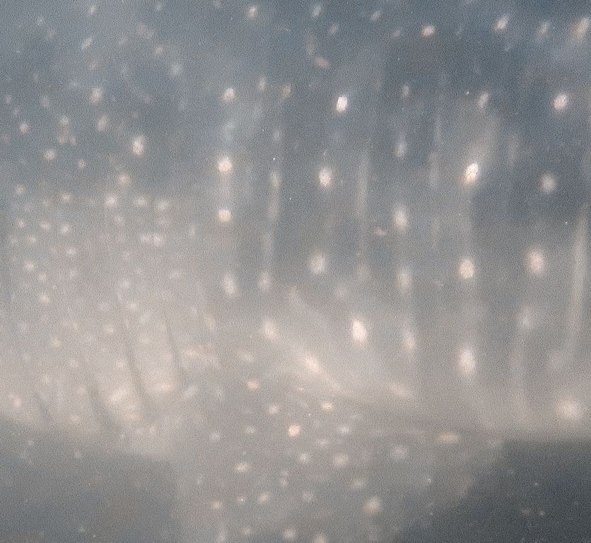 69901a69-8e8e-4a18-ad6b-c6b6b844b901