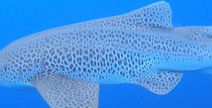 14dddda1-c4c9-4ceb-99c2-0d6f5629934e