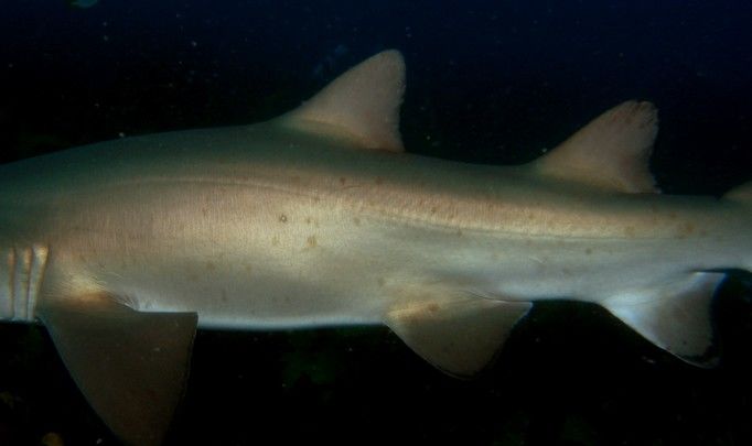 b29acaec-fea4-4cc5-965e-d187f67783fe