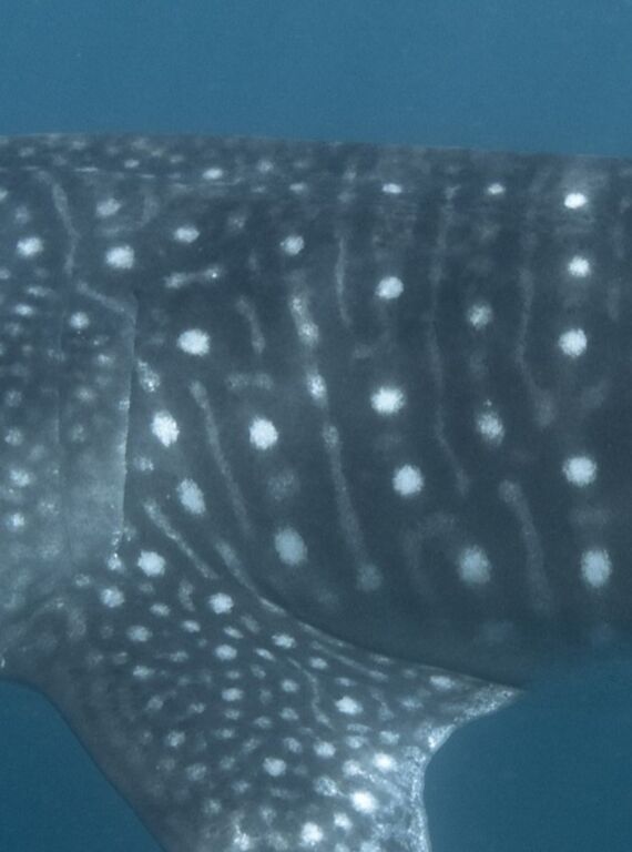 7314a288-46c0-4035-8ce7-d637aa15e80f