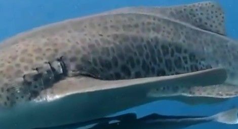 7b71f9dd-4711-4f19-91dc-4370a5770553