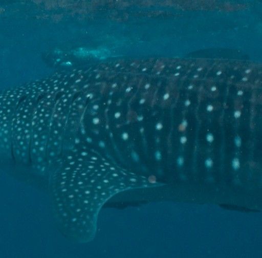 e8d65645-a41d-43a6-a088-5456927b1aca