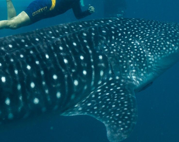 e8d65645-a41d-43a6-a088-5456927b1aca