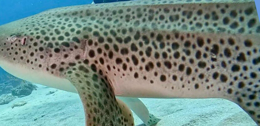 497bb3f5-a191-4c3b-a5df-bc1c683ca1d1