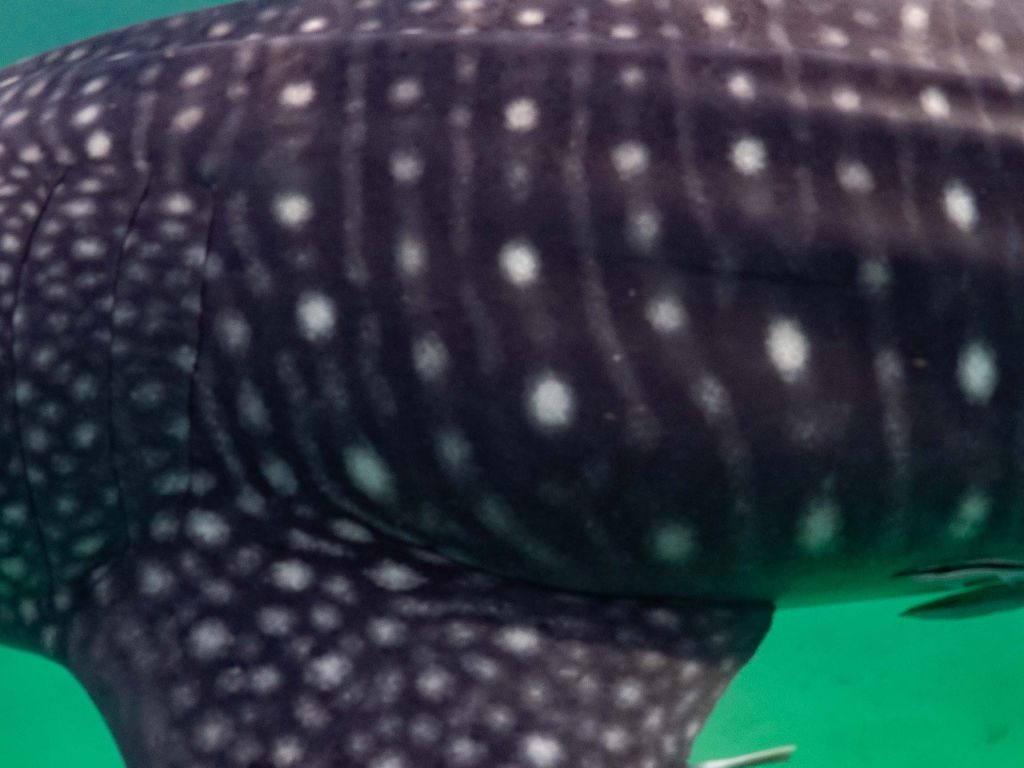 76615c59-3f7e-4f9e-b851-a414ff3e3f74