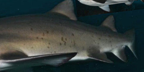 6703b134-162f-4545-95e3-087dab62a75b