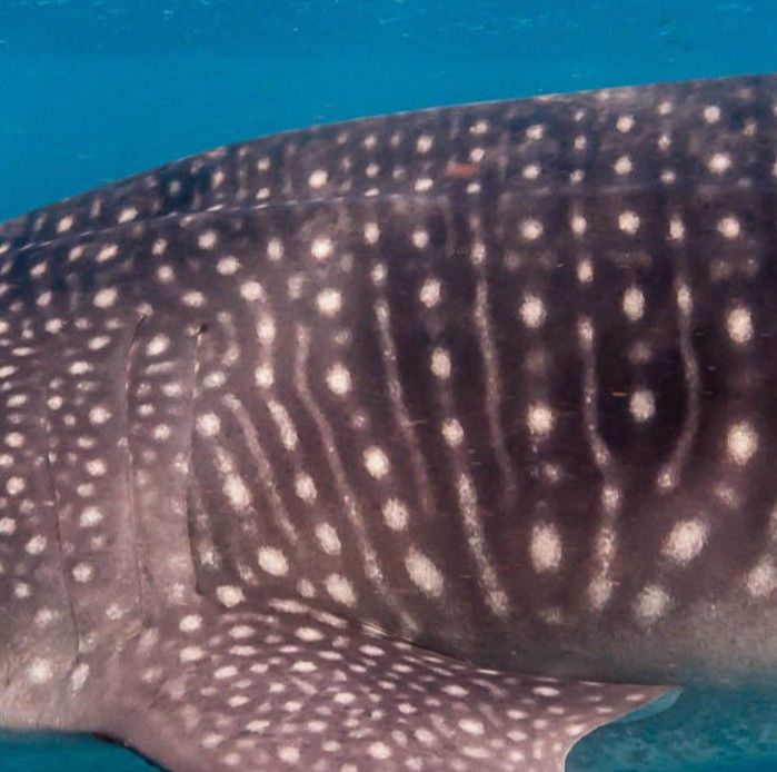 5391dd8c-0d78-4dff-807f-ecfeb829fd53