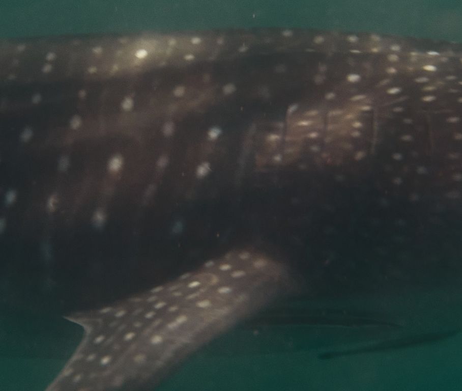 f5db753f-8f45-42fe-b963-2621c3f1db38