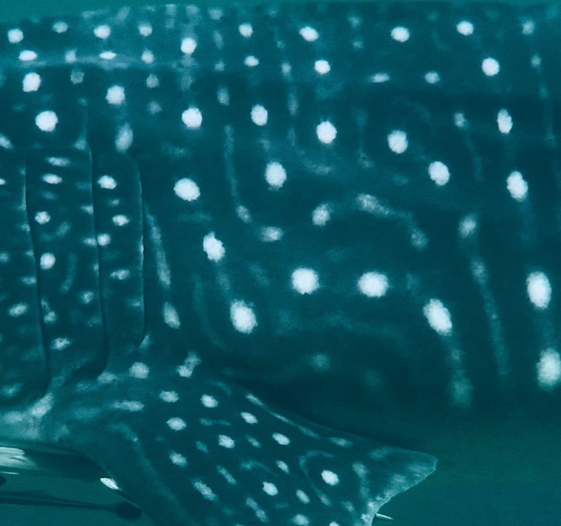 f5db753f-8f45-42fe-b963-2621c3f1db38