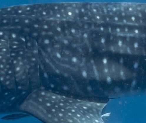 068bd46e-3c30-4565-9942-db9332c46bde