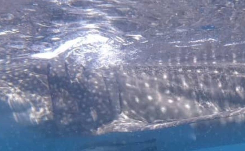 a2c5325d-0307-4593-b47d-d17075b6e83e