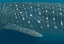 3d53132d-00e1-41da-ac9e-1096da0b87ed