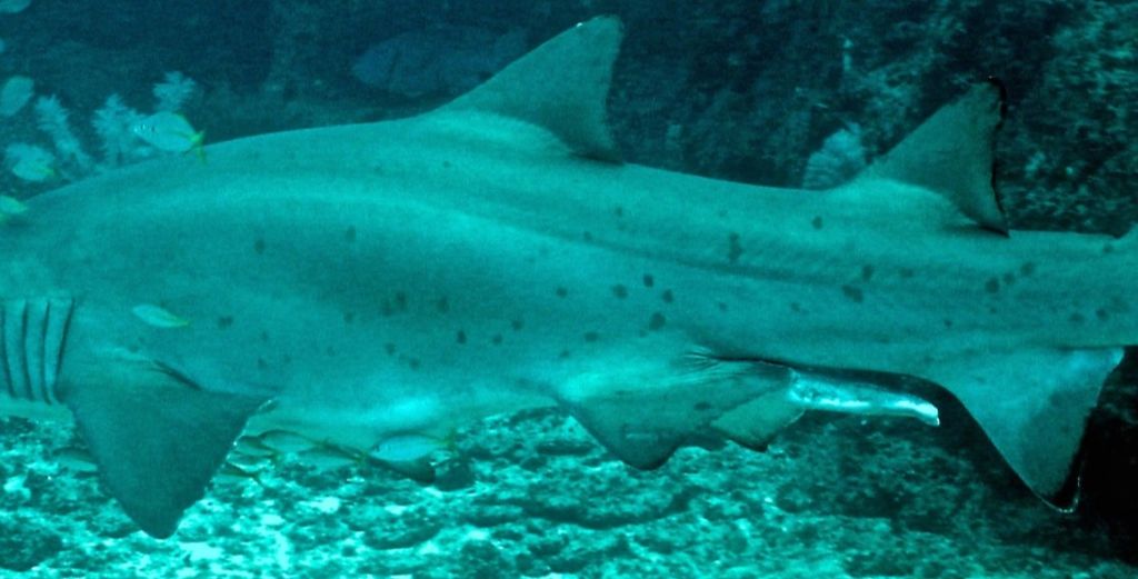 bf122892-aade-44bf-976a-d8180c8f126a