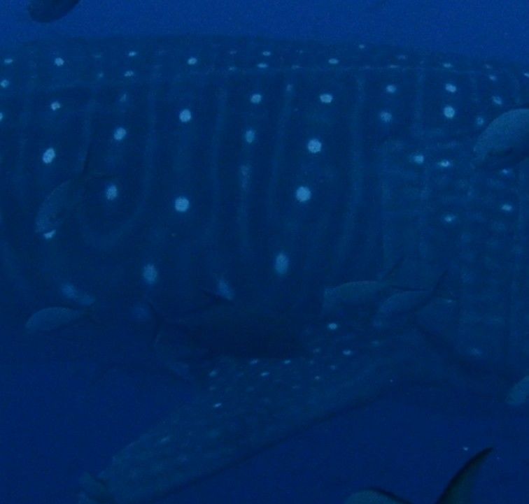 2d78c22e-b558-46ce-a85a-f444c26497db