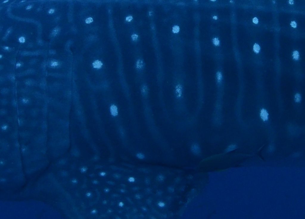 2d78c22e-b558-46ce-a85a-f444c26497db