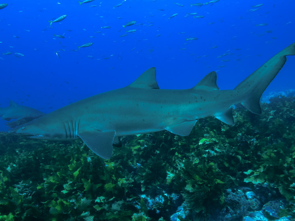 fa3a5bf5-309e-4337-8d25-3ae8dcf4e731