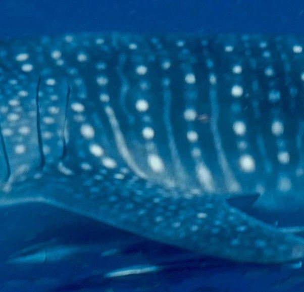 120f84b8-1aaa-4b3b-9242-3803cd6705d6