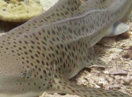 a777b422-1623-4e49-aa73-2398502323d7