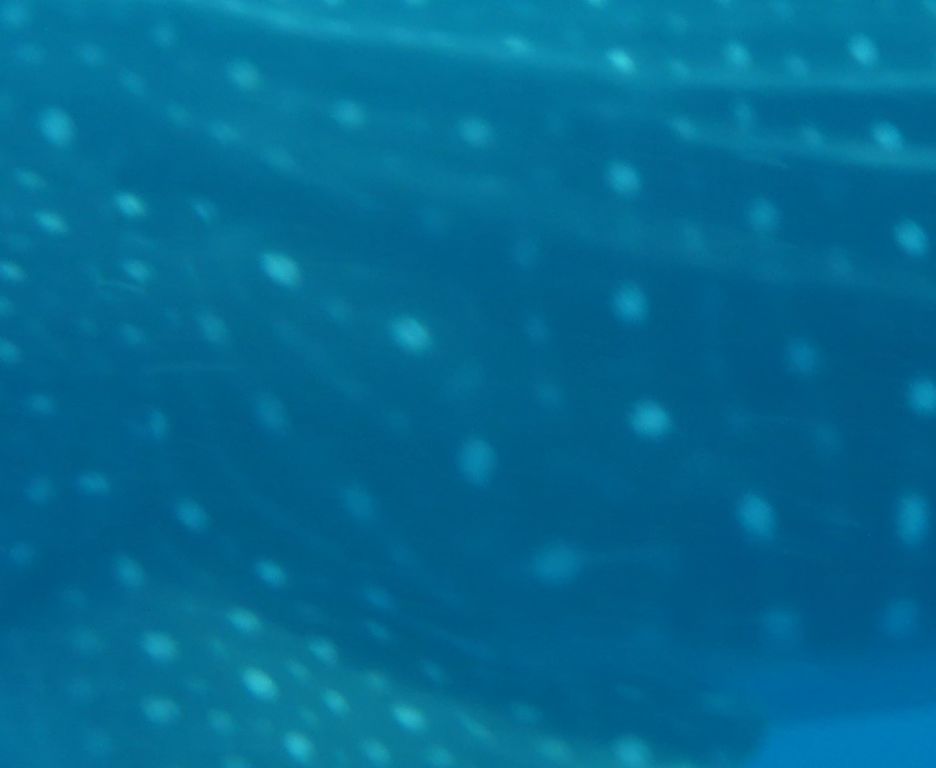 47218482-c1dc-4d3c-8193-1b84fb429a33