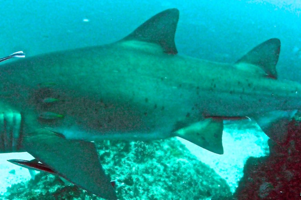 035b522d-7483-4fa2-9b91-d80b96b6deff