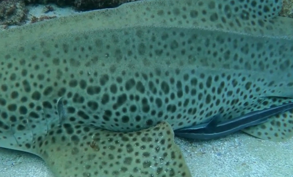 a1b97fe9-07c5-4189-8425-3d209f1a7847